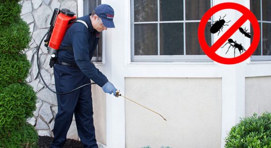 Ayvalık Dezenfeksiyon böcek ilaçlama ve haşere kontrolü — ilaclama-tr.com